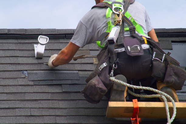 Best Roof Moss and Algae Removal  in East Hazel Crest, IL