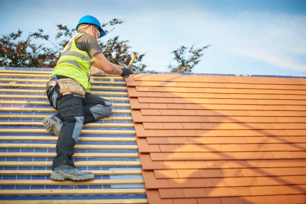 Best Roof Insulation Installation  in East Hazel Crest, IL